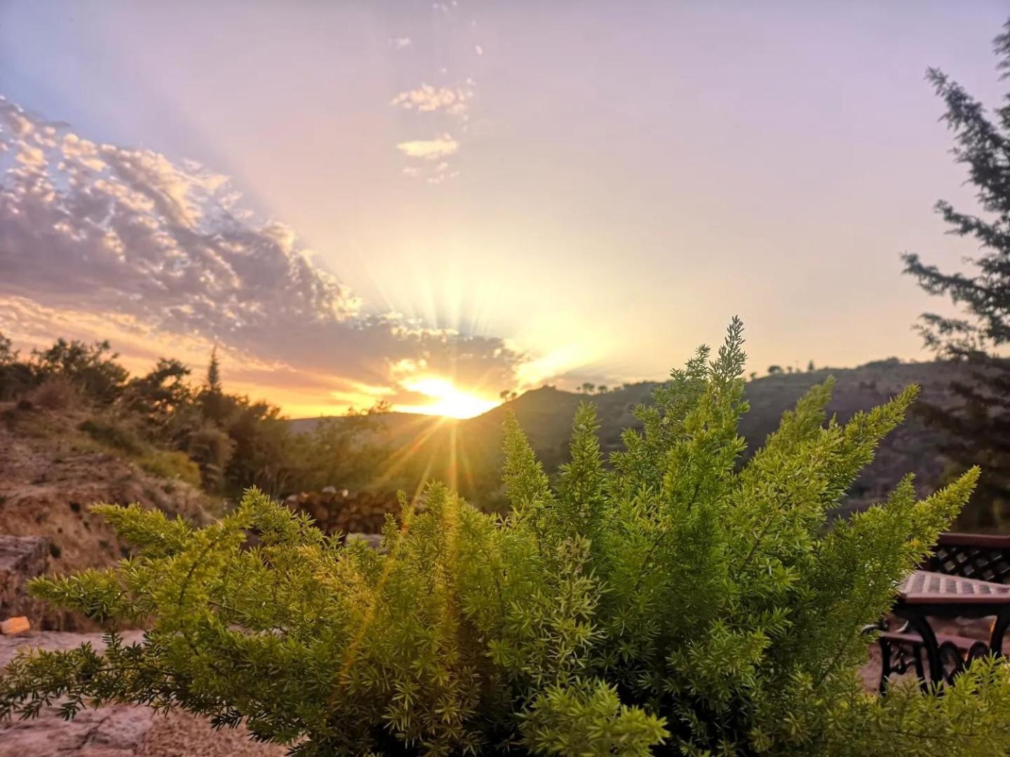 Panorama Suite เปียซซา อาร์เมรีนา ภายนอก รูปภาพ